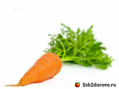 морковь история распространения