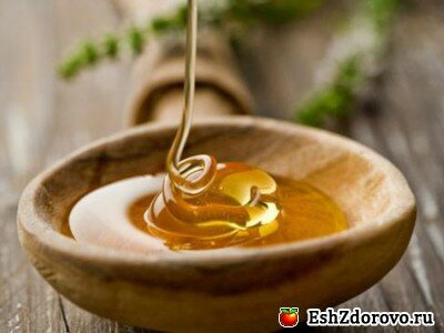 Мёд: полезные свойства, вред и польза