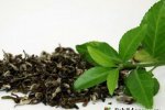 Зелёный чай: польза и вред